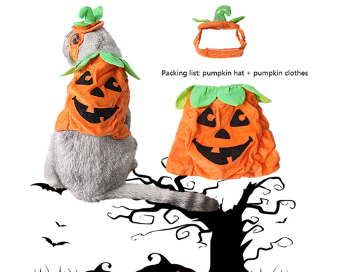 CAMS Halloween Pet Cats Costume Props Creative Pumpkin