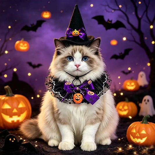 CAMS 2PCS/SET Halloween Pet Cosplay Costume Polyester Pet Witch Hat Collar Set Pumpkin Bell Bow Design