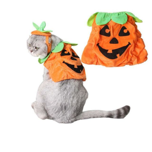 CAMS Halloween Pet Cats Costume Props Creative Pumpkin