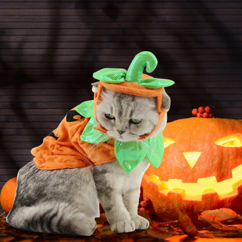 CAMS Halloween Pet Cats Costume Props Creative Pumpkin