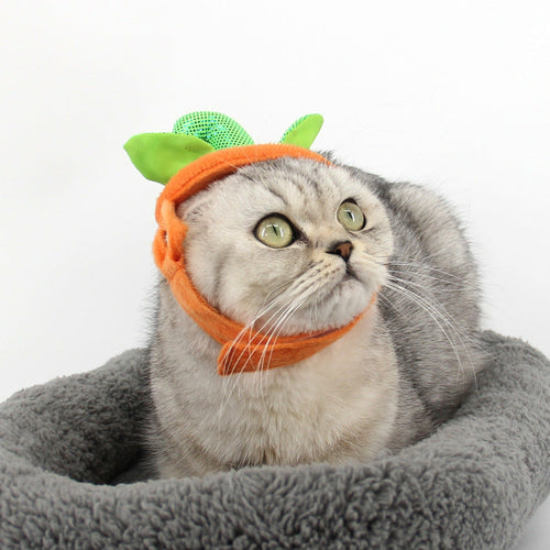 CAMS Halloween Pet Cats Costume Props Creative Pumpkin