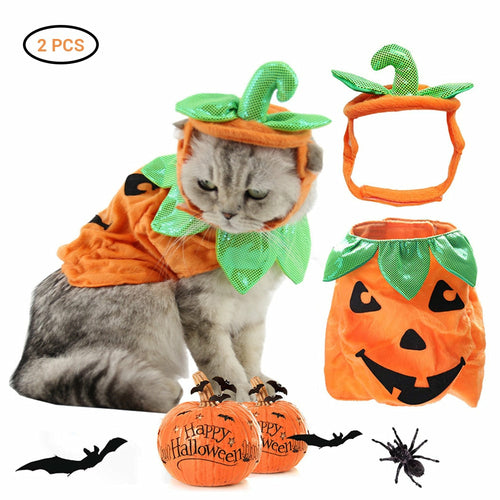 CAMS Halloween Pet Cats Costume Props Creative Pumpkin