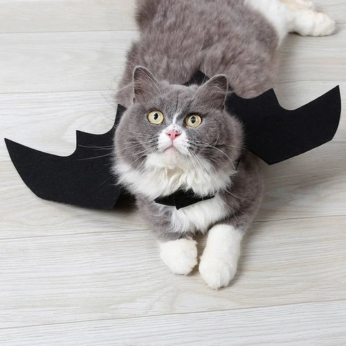 CAMS Halloween Cat Costume Small Pet Cat Bat Wings