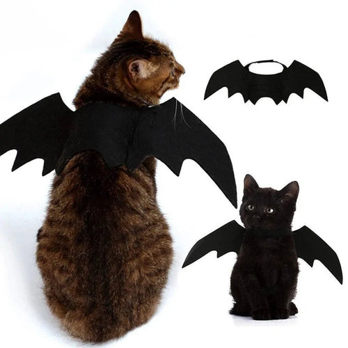 CAMS Halloween Cat Costume Small Pet Cat Bat Wings
