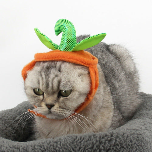 CAMS Halloween Pet Cats Costume Props Creative Pumpkin
