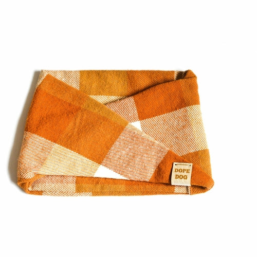 CAMS Pumpkin Spice - Dog Scarf