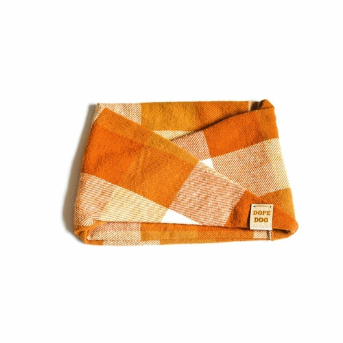 CAMS Pumpkin Spice - Dog Scarf