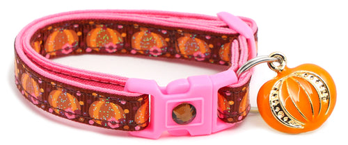 CAMS Pumpkins and Pink Flowers Breakaway Cat Collar