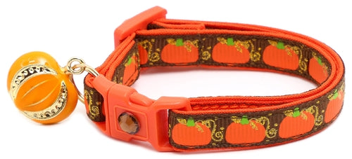 CAMS Pumpkins and Gold Breakaway Cat Collar