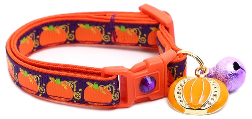 CAMS Pumpkins and Gold Breakaway Cat Collar
