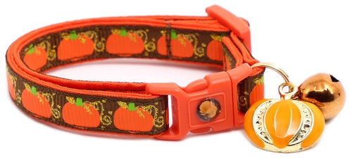 CAMS Pumpkins and Gold Breakaway Cat Collar
