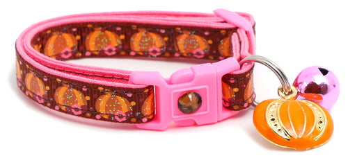 CAMS Pumpkins and Pink Flowers Breakaway Cat Collar