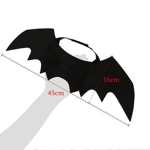 CAMS Halloween Cat Costume Small Pet Cat Bat Wings