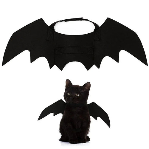 CAMS Halloween Cat Costume Small Pet Cat Bat Wings
