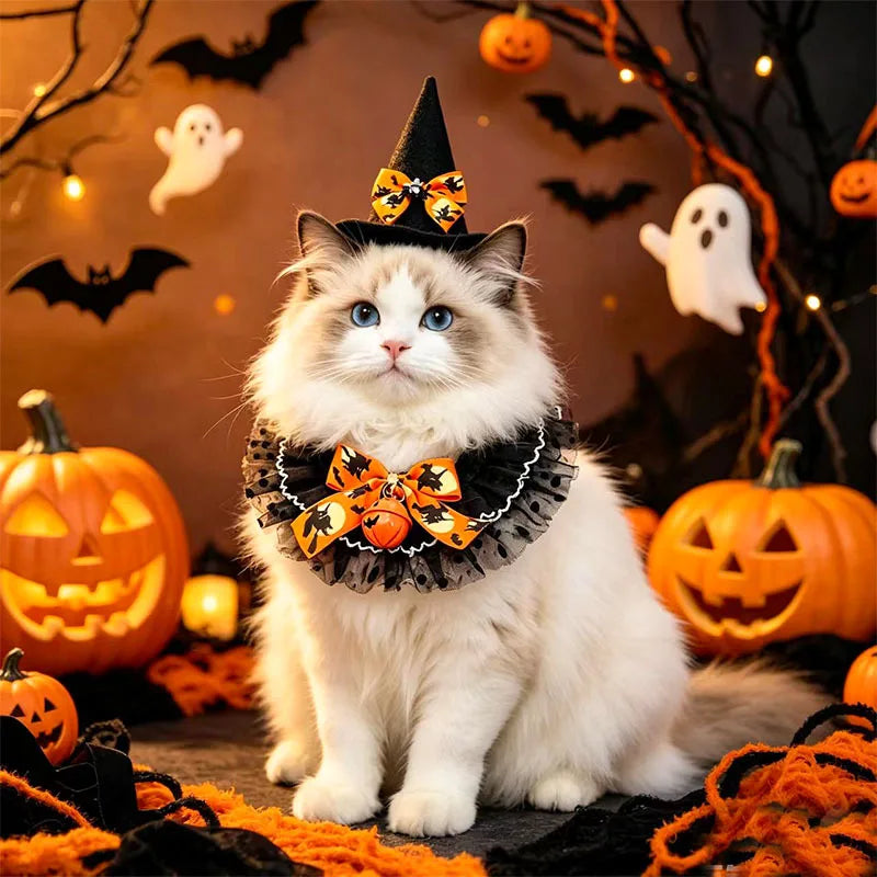 CAMS 2PCS/SET Halloween Pet Cosplay Costume Polyester Pet Witch Hat Collar Set Pumpkin Bell Bow Design