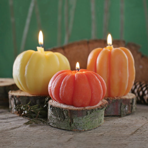 Big Dipper Wax Works Beeswax Pumpkin Candles