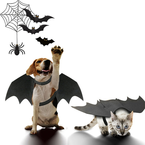 CAMS Halloween Pet Bat Wings Costume Cat and Dogs