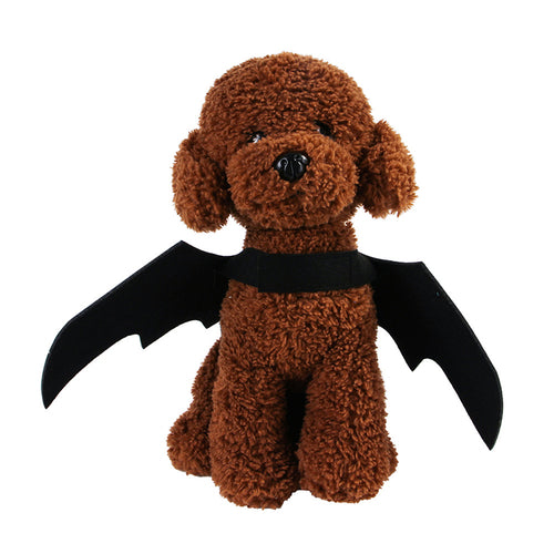 CAMS Halloween Pet Costumes Bat Wings