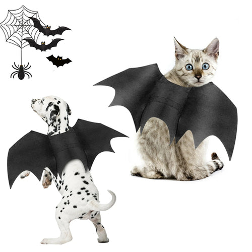 CAMS Halloween Pet Bat Wings Costume Cat and Dogs
