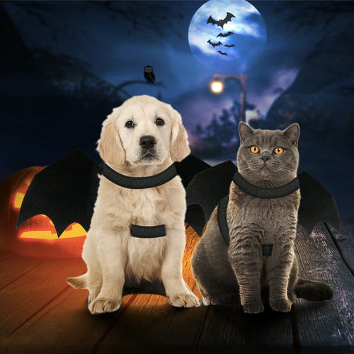 CAMS Halloween Pet Bat Wings Costume Cat and Dogs