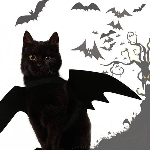 CAMS Halloween Cat Costume Small Pet Cat Bat Wings